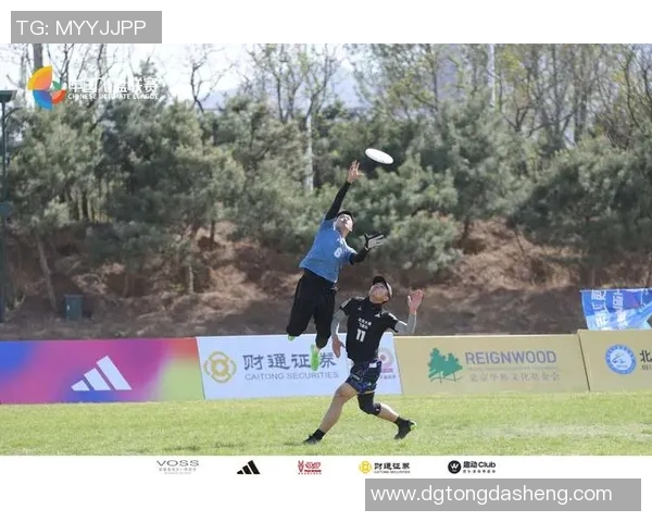 北京飞盘队配合默契创历史新高引领全国飞盘运动热潮