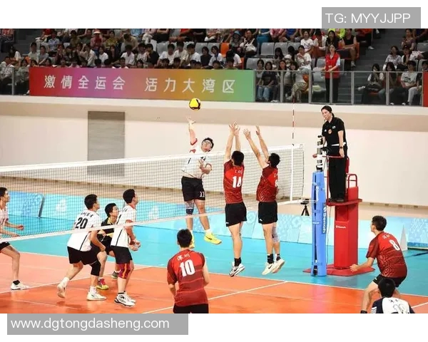 北京排球队荣登排球配合排行榜首位展现团队默契与实力