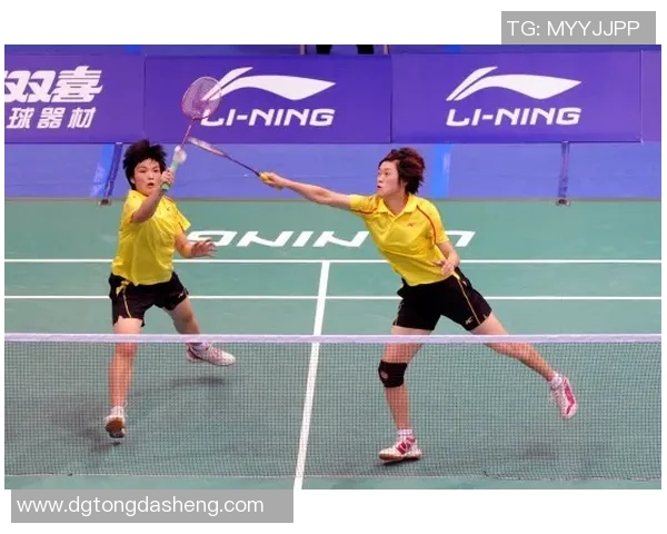 南京羽毛球队在全国锦标赛中的个人能力分析与表现评估