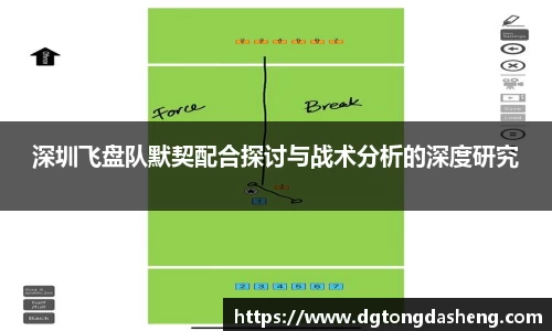 深圳飞盘队默契配合探讨与战术分析的深度研究