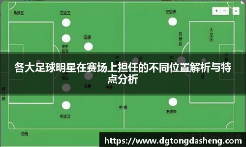 各大足球明星在赛场上担任的不同位置解析与特点分析